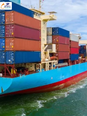 Giá Cước Vận Tải Biển Tăng Mạnh Đầu Tháng 11/2025: Khi Thị Trường Đi Ngược Quy Luật Cung – Cầu